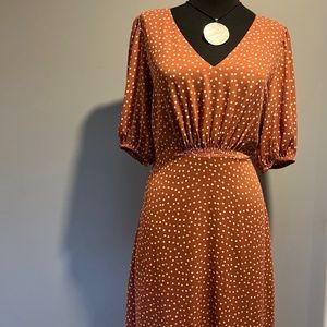 NWT: RW&Co Day Dress